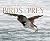 David Hollands' Birds of Pr...