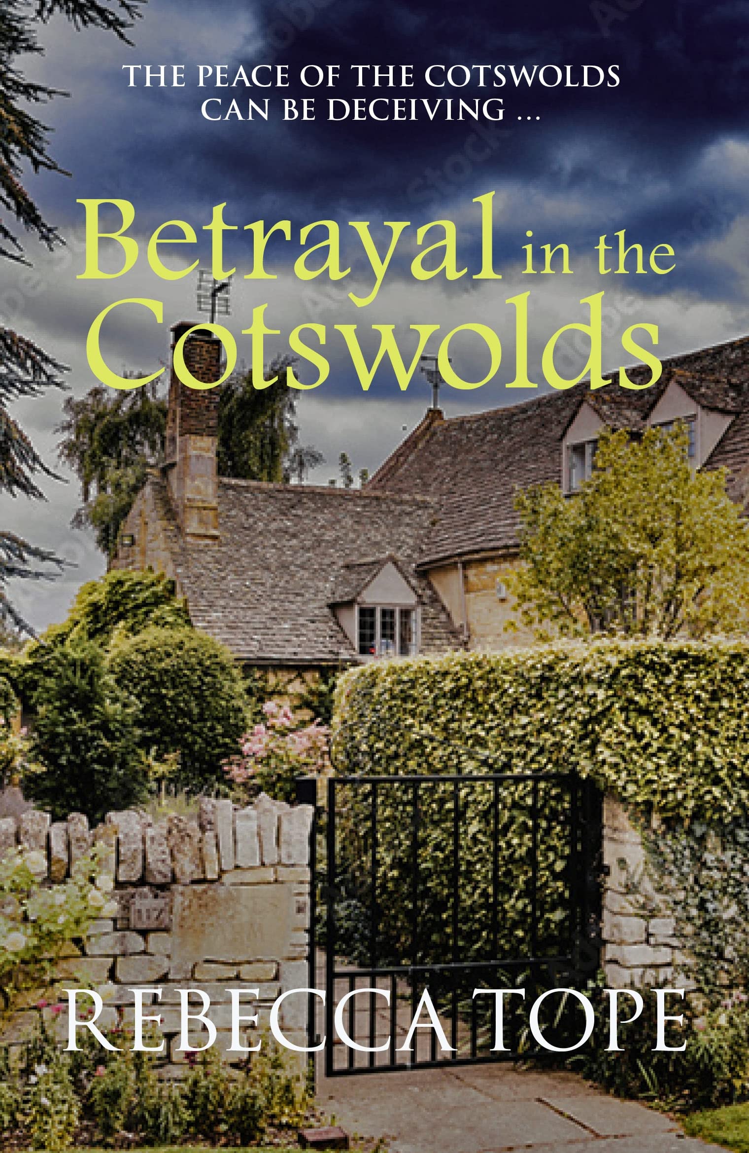 Betrayal in the Cotswolds (Cotswold Mysteries Book 20)
