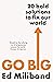 Go Big: How To Fix Our World