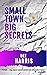Small Town Big Secrets by Dee  Harris