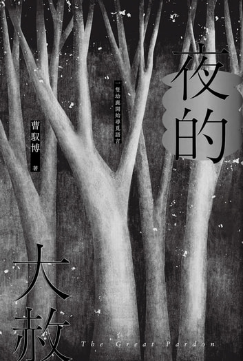 夜的大赦 (Paperback)