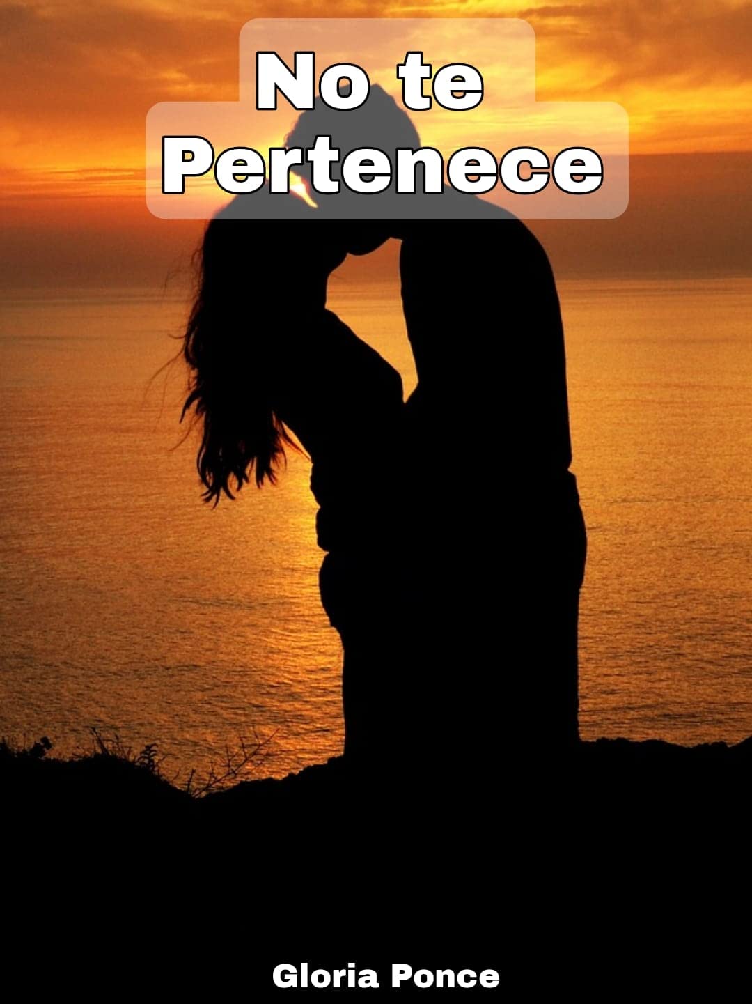 No te Pertenece: Capitulos del 1 al 316 (Kindle Edition)