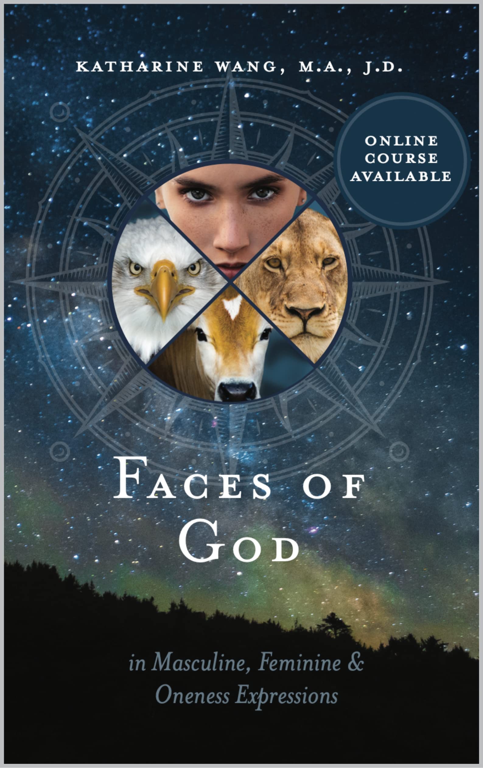 Faces of God: in Masculine, Feminine & Oneness Expressions (Kindle Edition)
