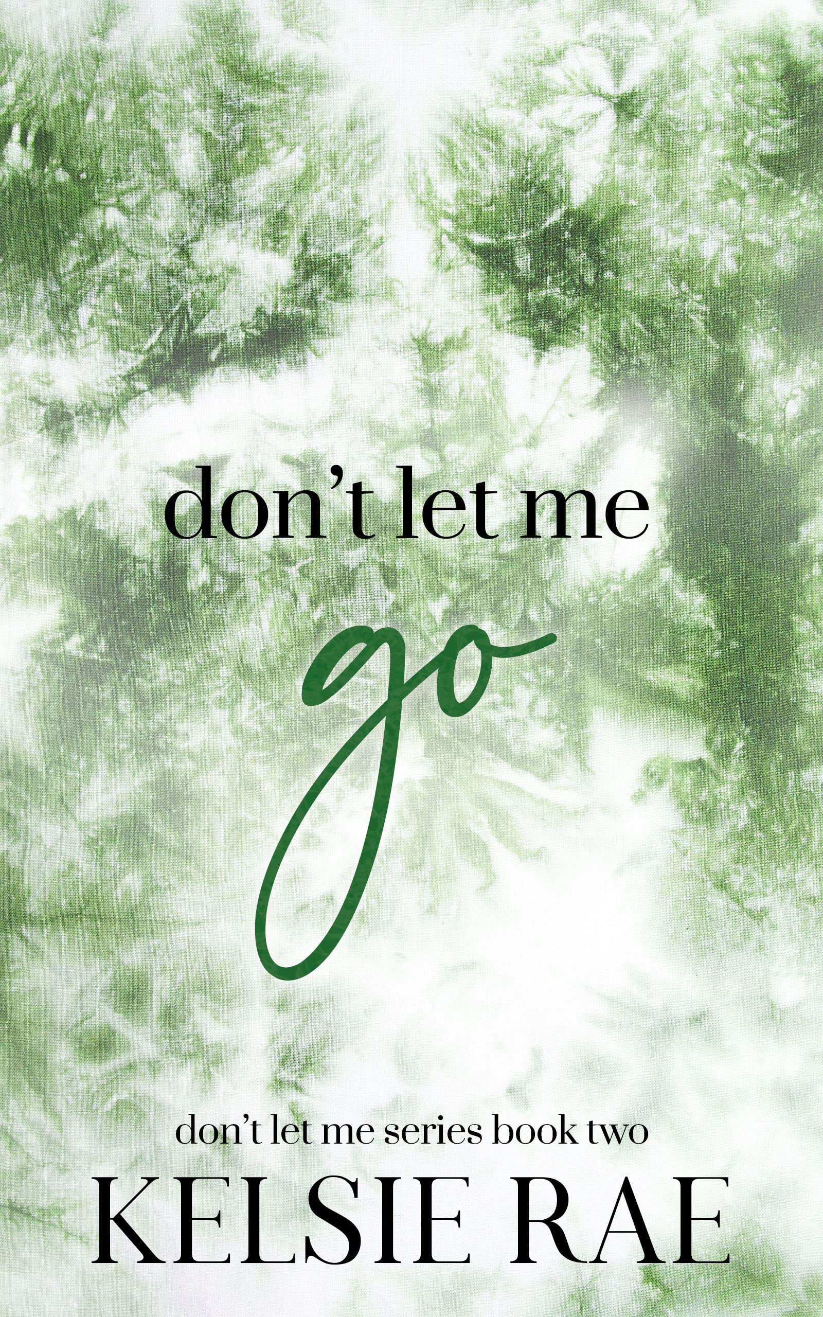 Don't Let Me Go (Don't Let Me Go #2)