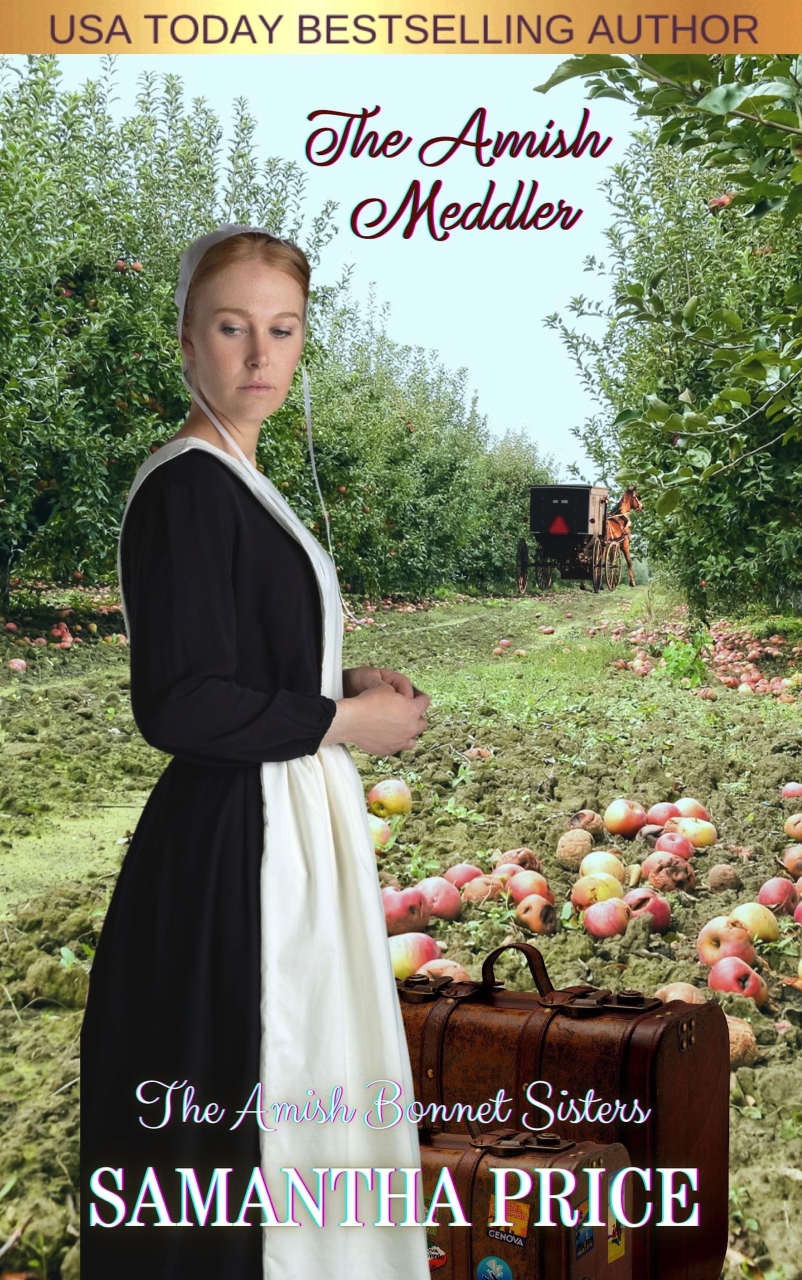 The Amish Meddler (The Amish Bonnet Sisters, #16)