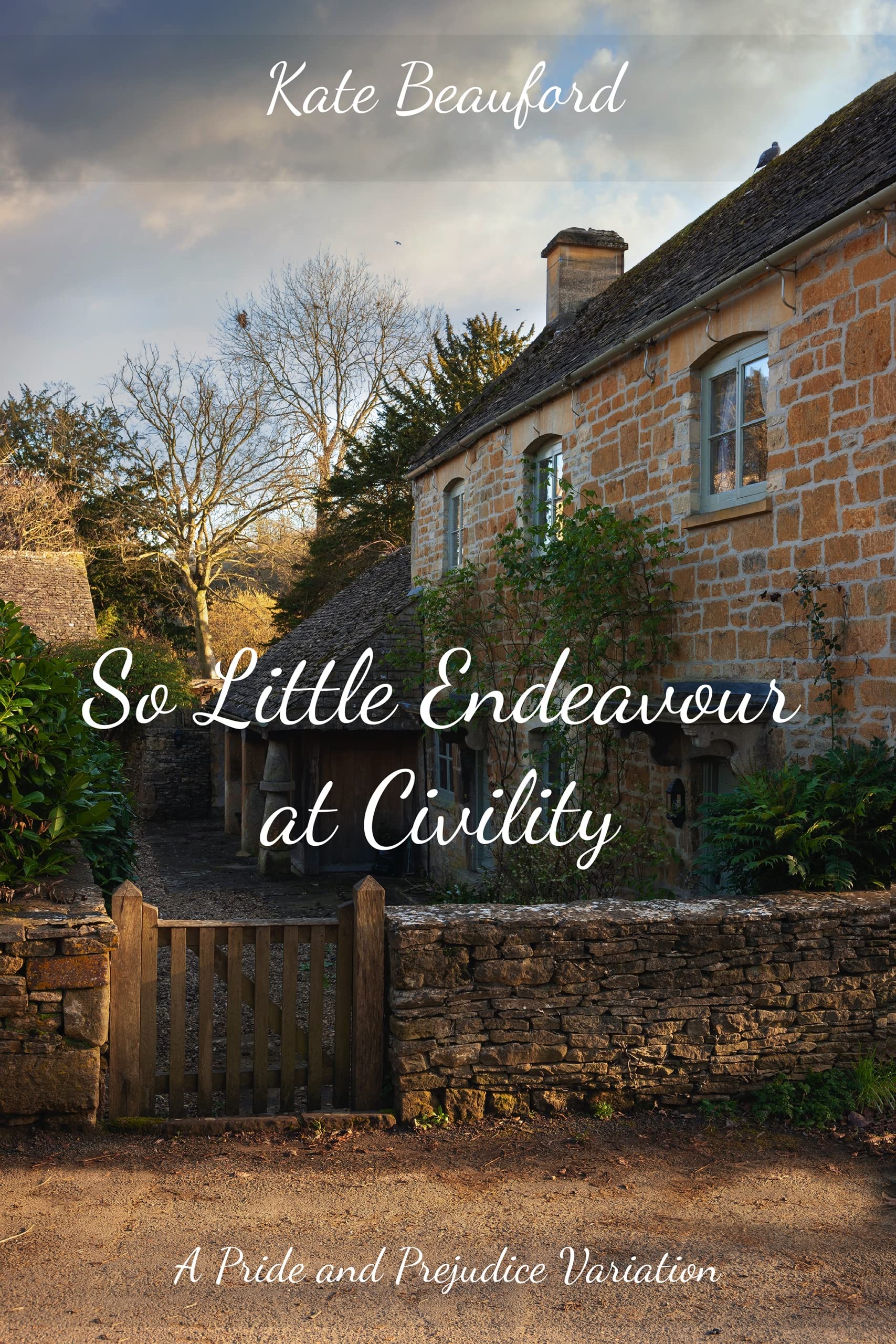 So Little Endeavour at Civility: A Pride and Prejudice Variation (Kindle Edition)