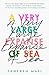 A very large expanse of sea