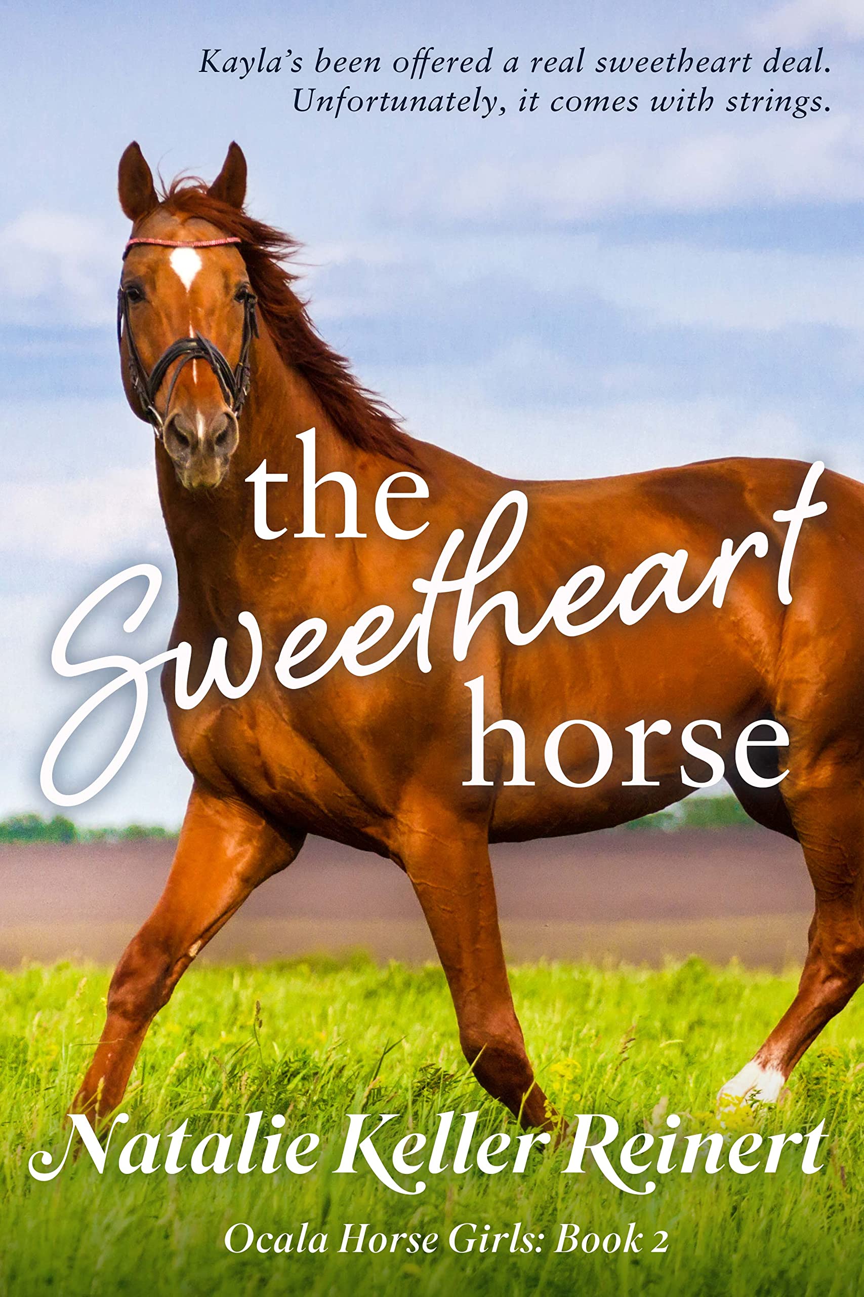 The Sweetheart Horse (Ocala Horse Girls #2)