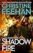 Shadow Fire (Shadow Riders #7)