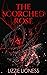 The Scorched Rose by Lizzie Lioness The Scorched Rose by Lizzie Lioness
