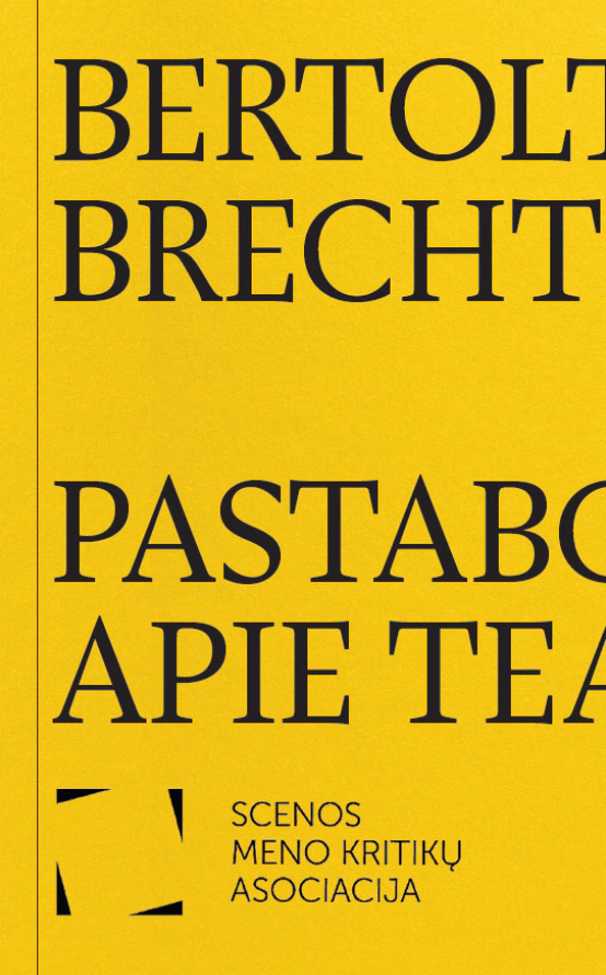 Pastabos apie teatrą (Paperback)