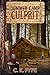 Summer Camp Culprit by C.K. Fyfe
