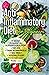 Anti-Inflammatory Diet for Beginners by Pureture HHP