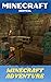 Minecraft : The Adventure