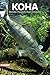 Koha: eluviisid. Püügitehnikad. Retseptid