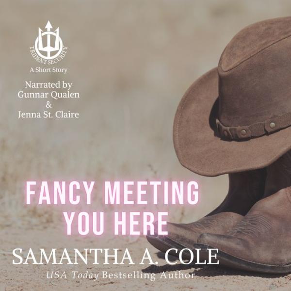 Fancy Meeting You Here: A Trident Security Short Story (Book 11.25)