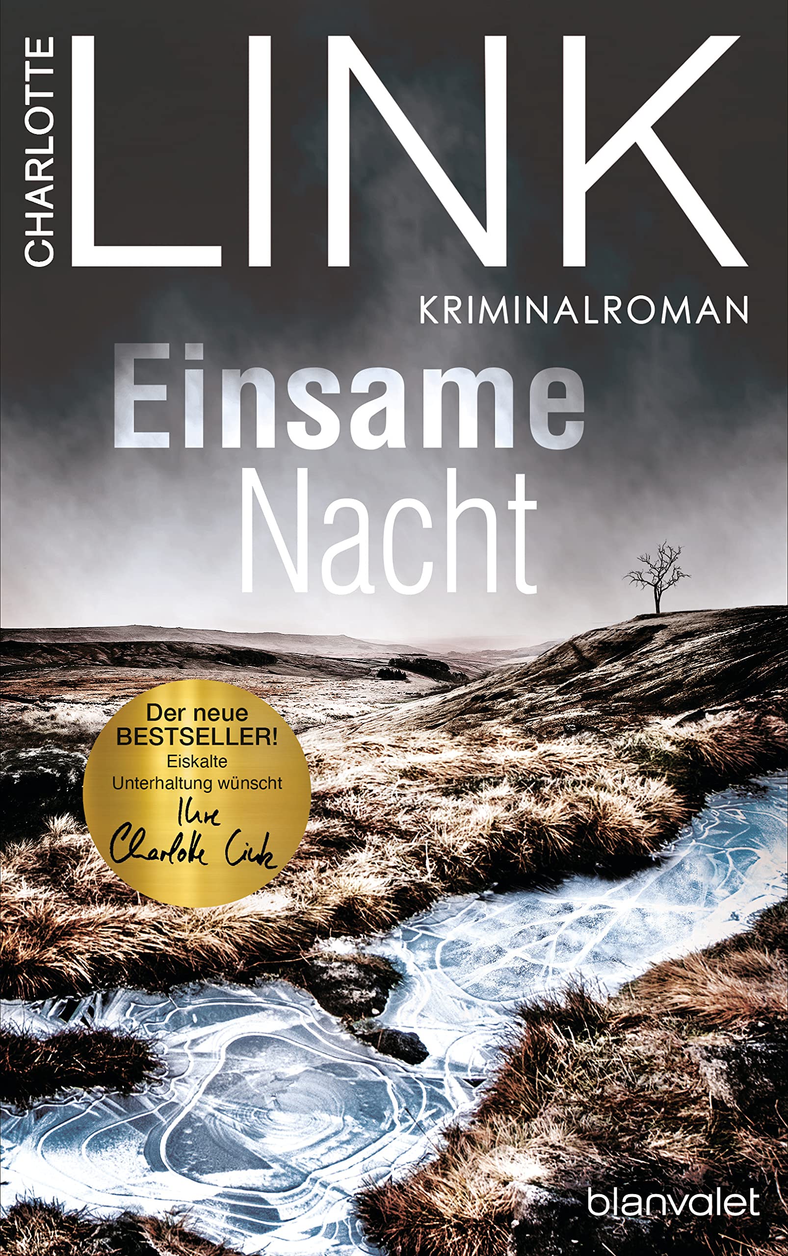 Einsame Nacht (Kindle Edition)