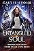 Entangled Soul