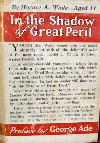 In the Shadow of Great Peril (Hardcover)