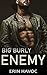 Big Burly Enemy (Forbidden ...