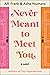 Never Meant to Meet You: A Novel