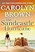 The Sandcastle Hurricane by Carolyn Brown