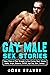 Gay Male Sex Stories — Extremely Hot Steamy Dirty Straight to Gay Erotic Naughty Short Stories: MMM, Bisexual Threesome, Forced, Daddy Dom, BDSM, Taboo Family, College Brats, Dark Fantasy Romance