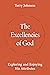 The Excellencies of God by Terry L. Johnson | Exploring Divin... by Terry Johnson