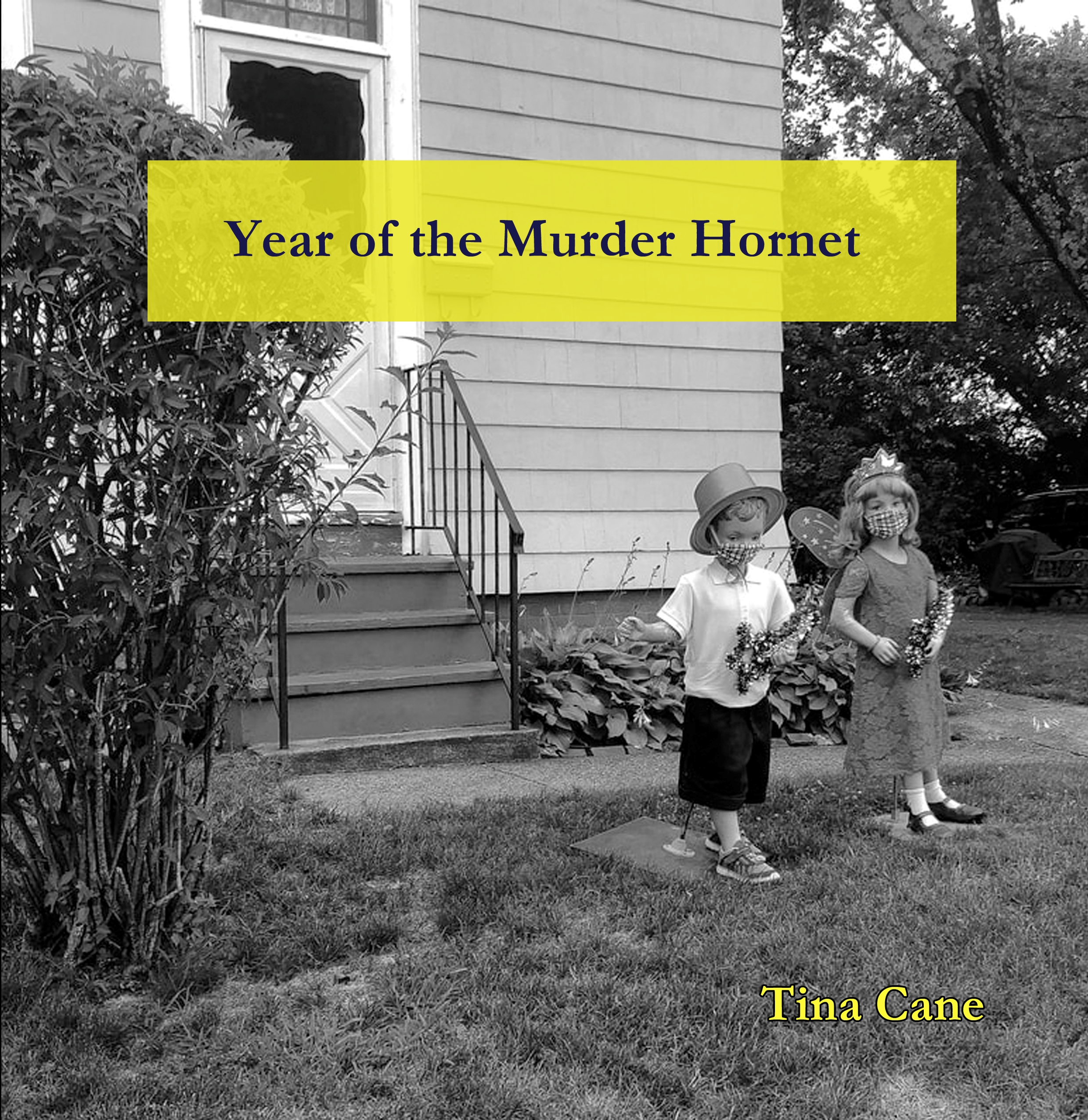Year of the Murder Hornet (Paperback)