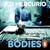 Bodies