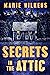 Secrets in the Attic by Marie Wilkens