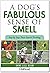 A Dog's Fabulous Sense Of Smell: Step by Step Treat Search Tracking