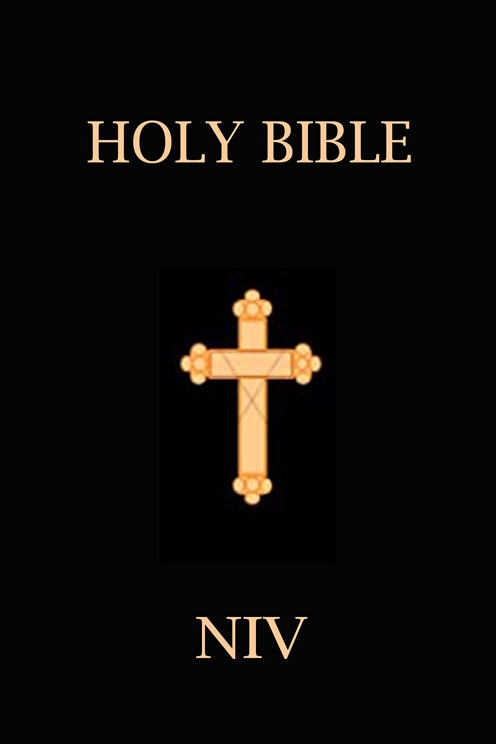 Holy Bible New International Version