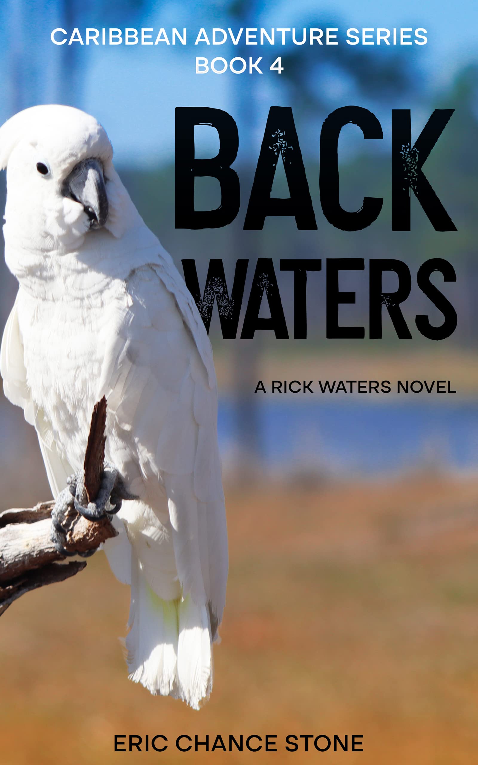 Back Waters: A Rick Waters Novel (Caribbean Adventure Series, #4)