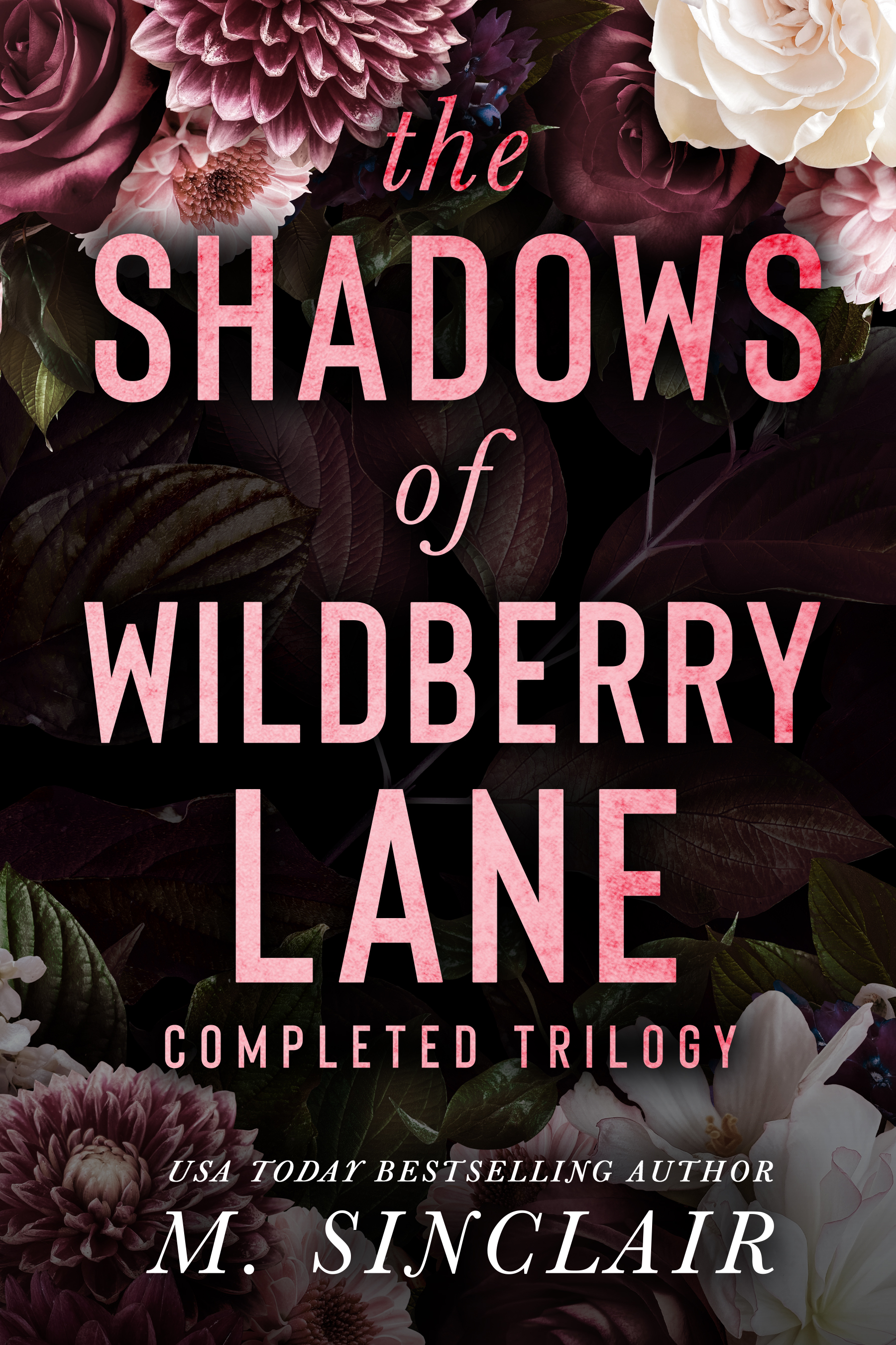 The Shadows of Wildberry Lane: Completed Trilogy (The Shadows of Wildberry Lane #1-3)