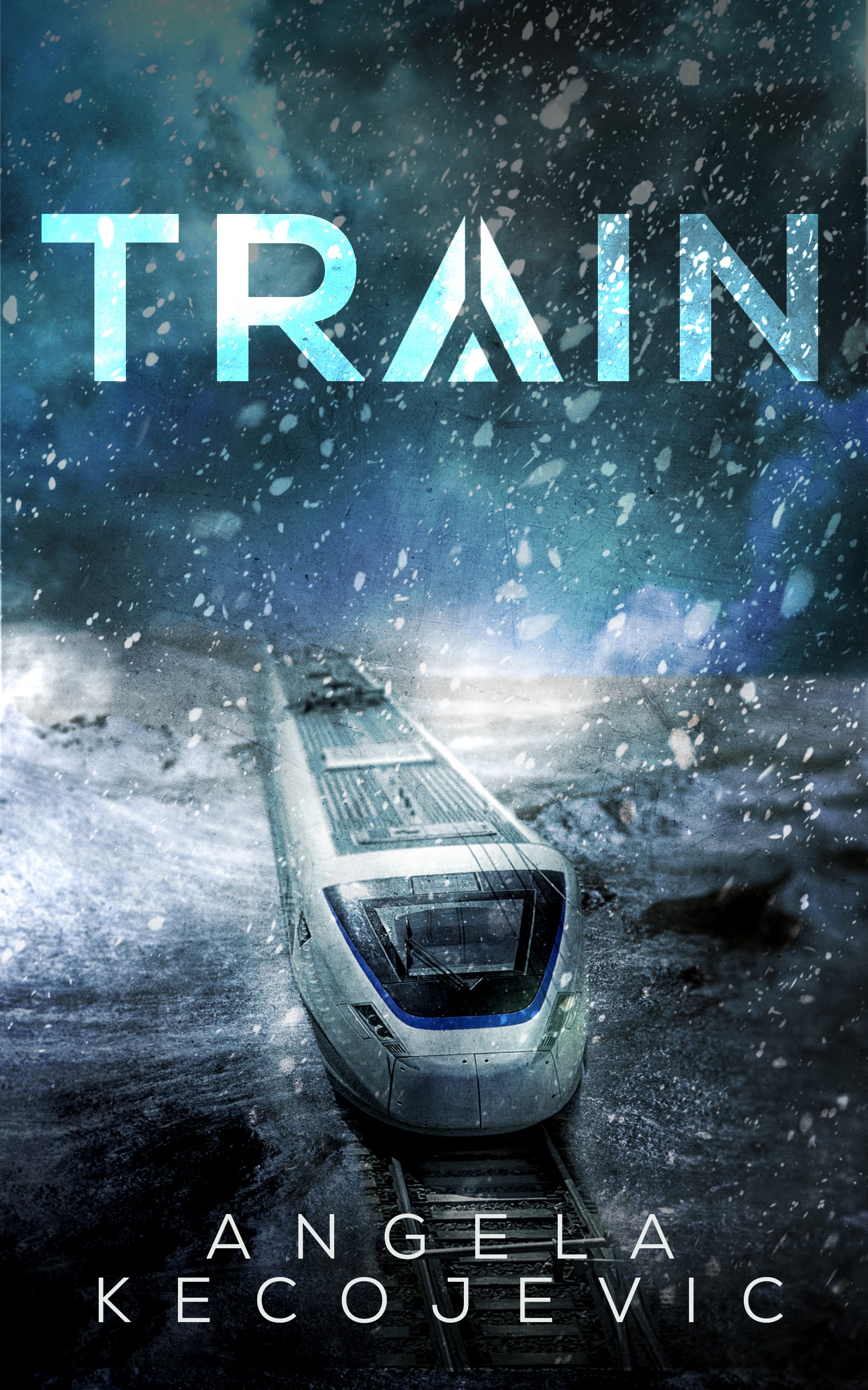 TRAIN was withdrawn prior to publication (due to publisher closure). Reviews were pre publication. It will now be released in 2026 with Neem Tree Press