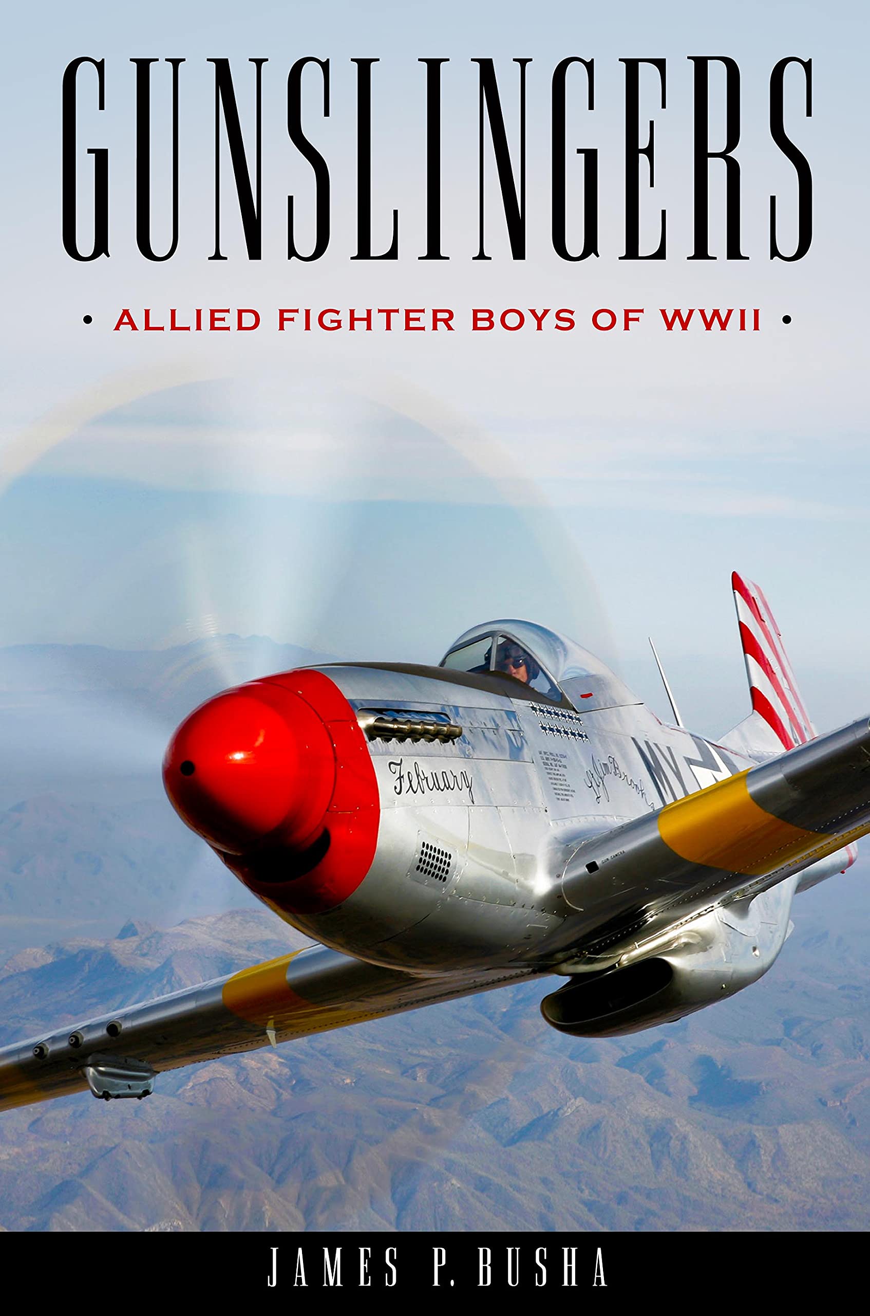 Gunslingers: Allied Fighter Boys of WWII (Kindle Edition)
