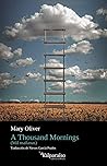 A Thousand Mornin...