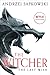 The Last Wish (The Witcher,...