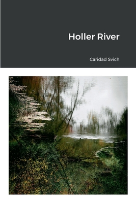 Holler River (Paperback)