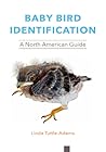 Baby Bird Identif...