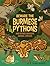 Beware the Burmese Pythons:...