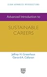 Advanced Introduction to Sustainable Careers (Elgar Advanced Introductions series)