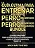 La Guía Última Para Entrena...