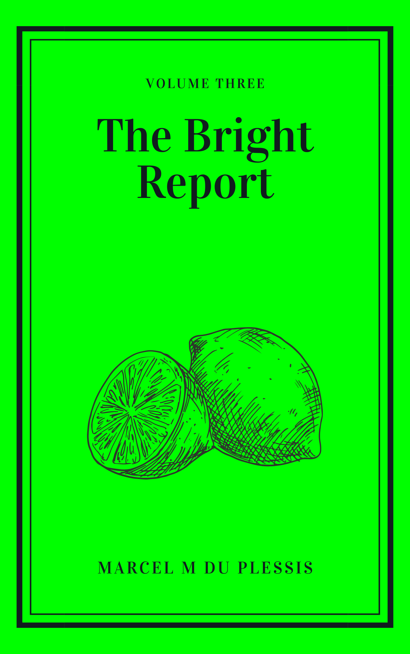 The Bright Report Volume 3 (Bright Report, #3)