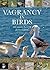 Vagrancy in Birds