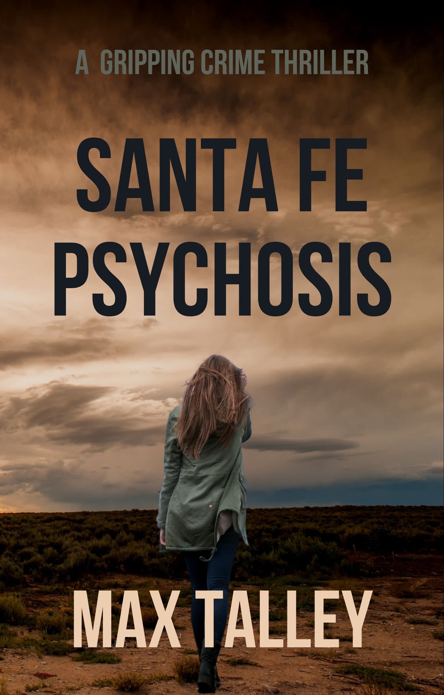 Santa Fe Psychosis (Kindle Edition)
