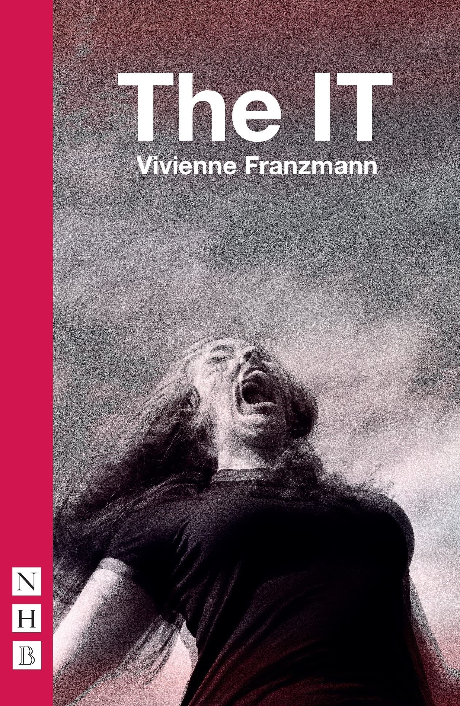 The IT (Paperback)