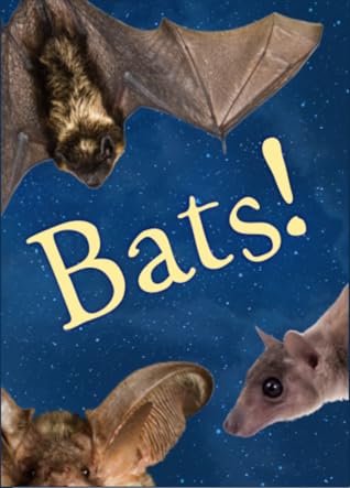 Bats!