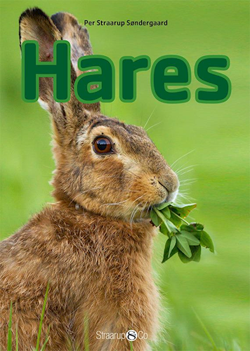Hares (Hardcover)